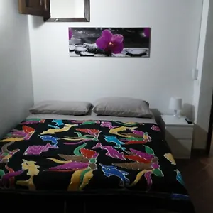  Bed & Breakfast Piazza San Benedetto